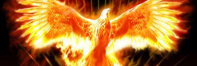 avefenix90's profile banner image