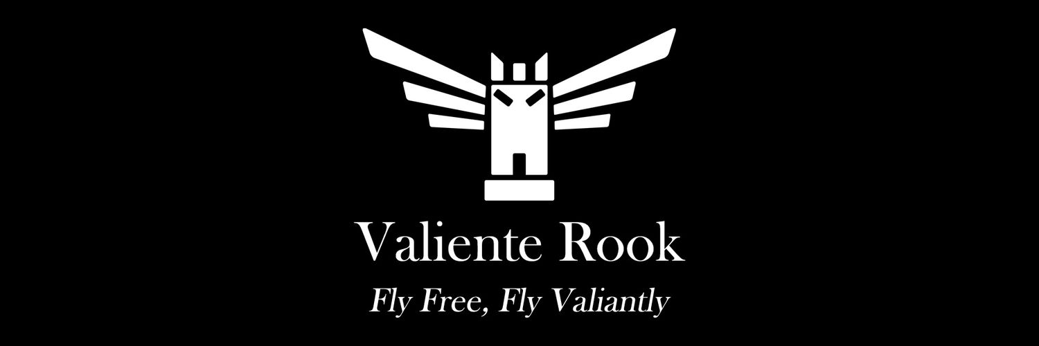 valienterook's profile banner image