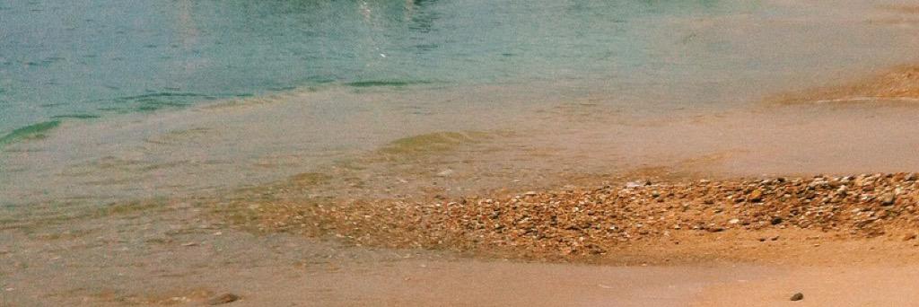 L_ASV's profile banner image