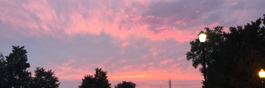 charlypattonxox's profile banner image