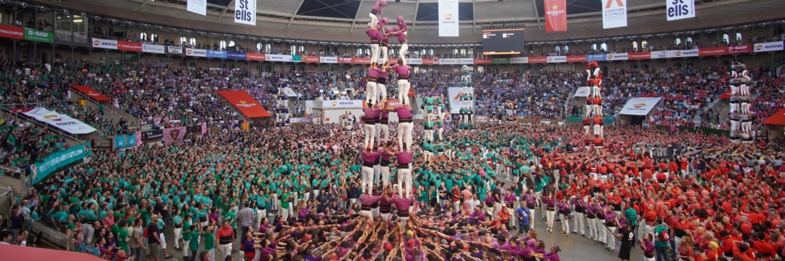 Miquel Bernadi banner