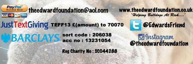 The Edward Foundation banner