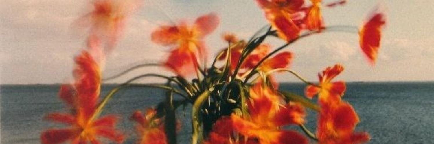 rixthp's profile banner image