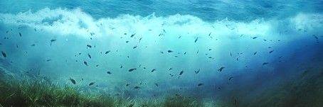 king_merman's profile banner image