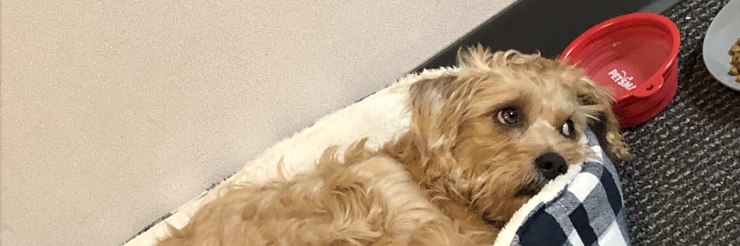 ktayers's profile banner image