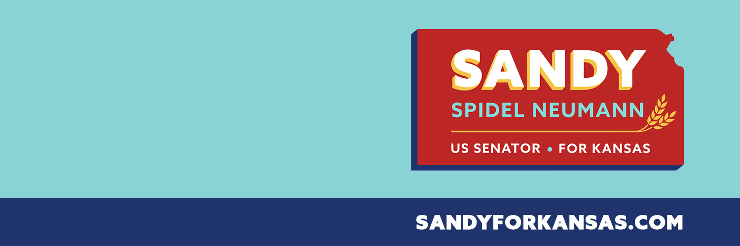 speumann's profile banner image