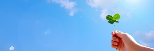 MeruparaAffili's profile banner image