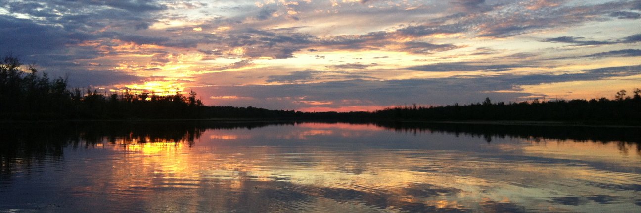 StephanieRudyk's profile banner image
