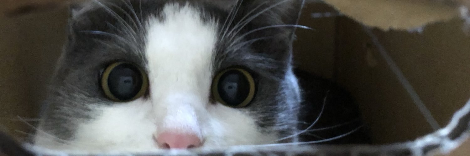 rinrin_min's profile banner image