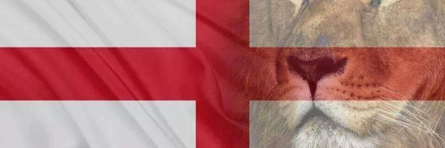 rayegan14's profile banner image