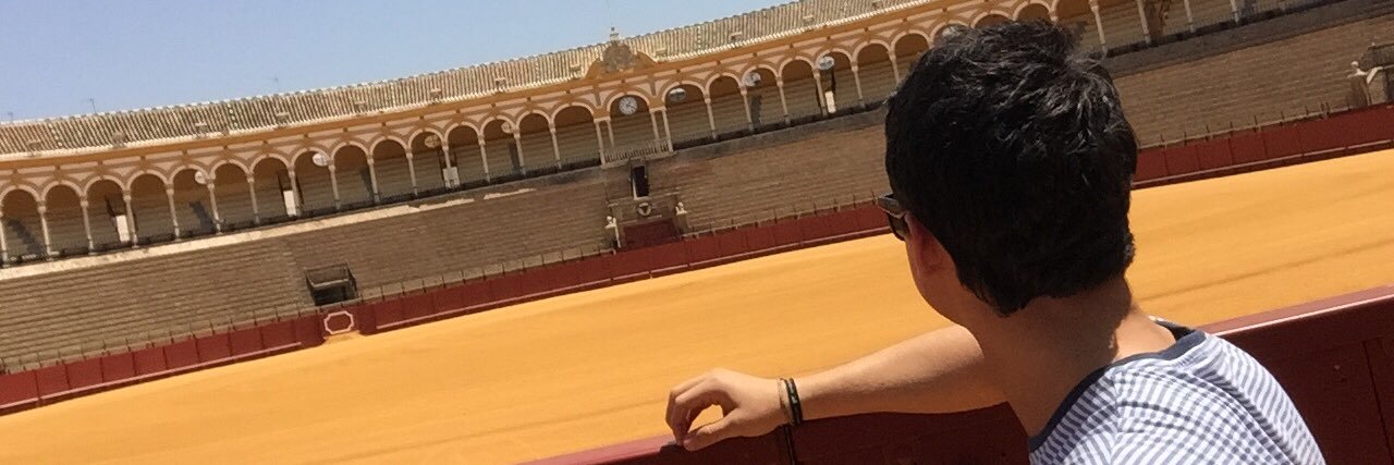 Esteban Castro R banner