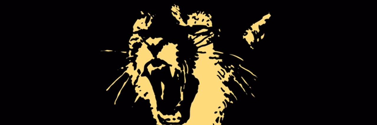 LesNeuhaus's profile banner image