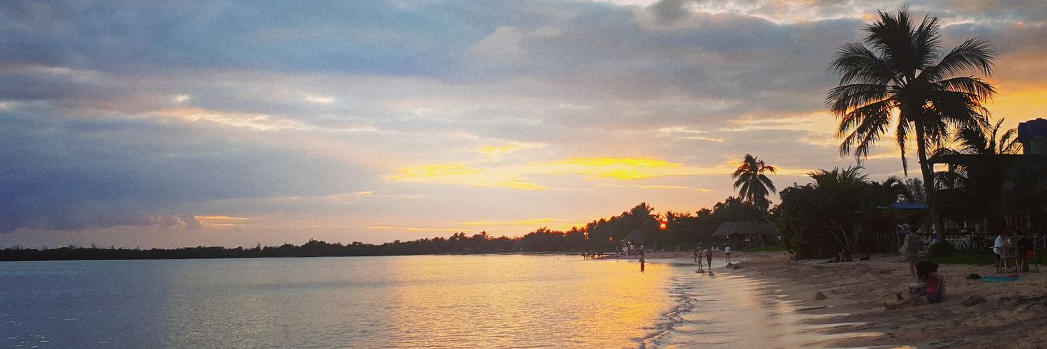 aprilbarton's profile banner image