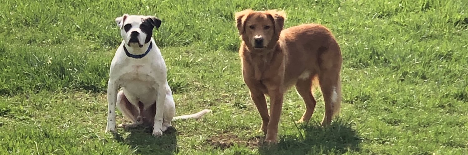 Taylor Luckado banner