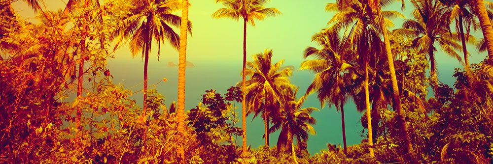 NicoletteArchul's profile banner image