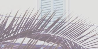 hannanevgdr's profile banner image