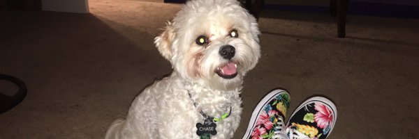 MaariaCarranzaa Profile Banner