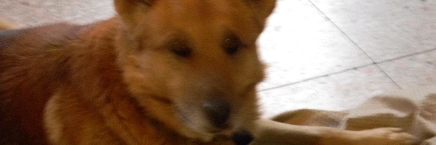 Mad_Acade's profile banner image