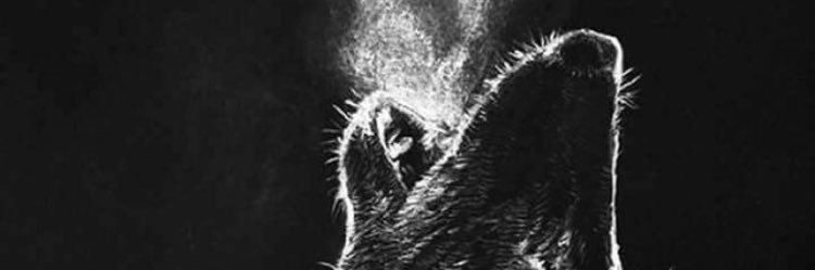 ismak57's profile banner image