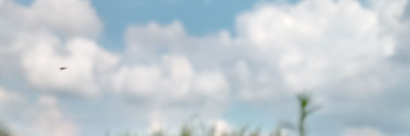 reallbot's profile banner image
