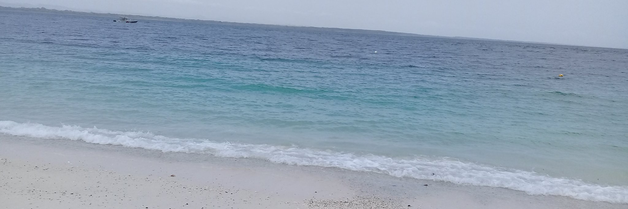 successfulbear's profile banner image