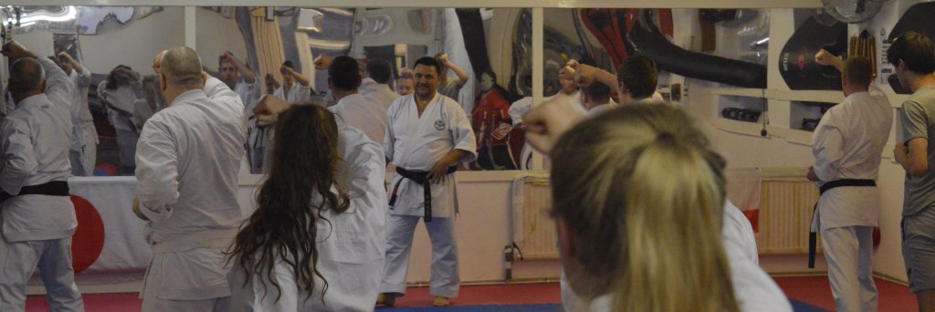 KSDKarate's profile banner image