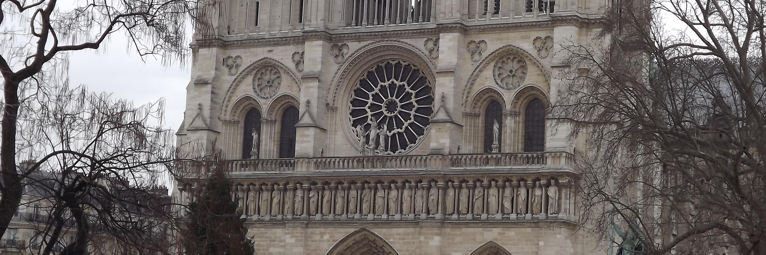 Craig Fullard banner