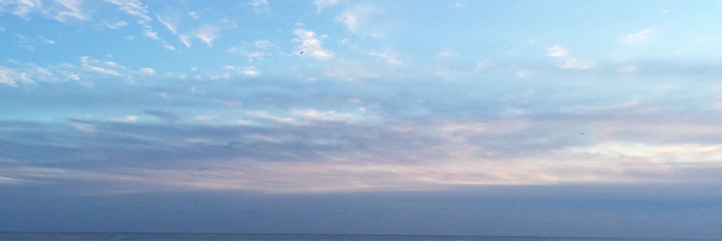 Polzy's profile banner image