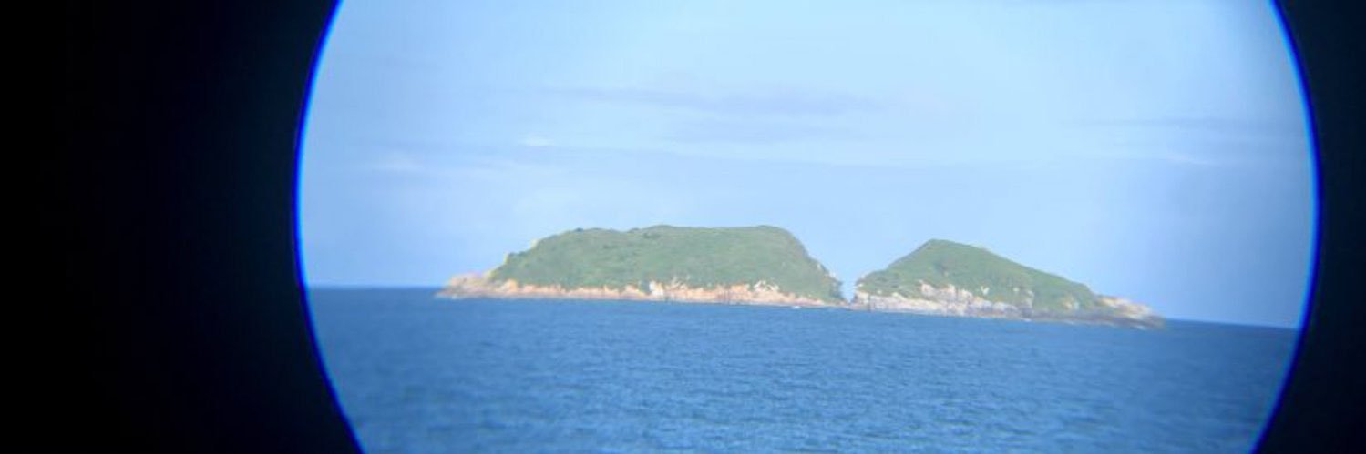bibst_'s profile banner image