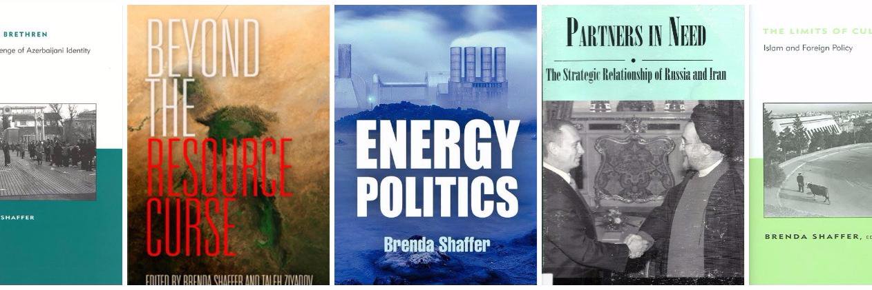 Brenda Shaffer banner