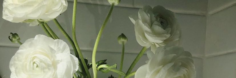 BotanistBee's profile banner image