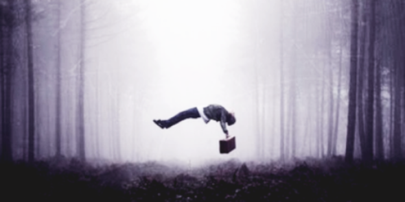 lilymtrgdr's profile banner image