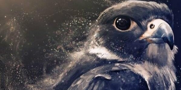 666_hmn's profile banner image