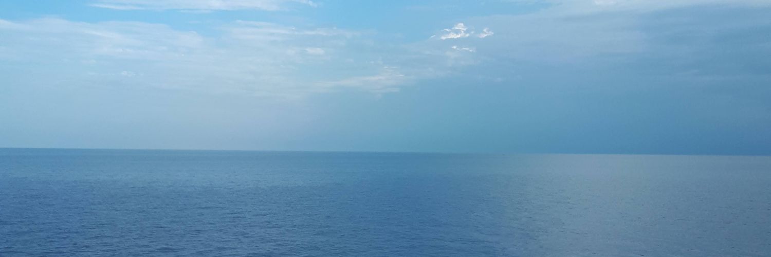 ardilabrie's profile banner image
