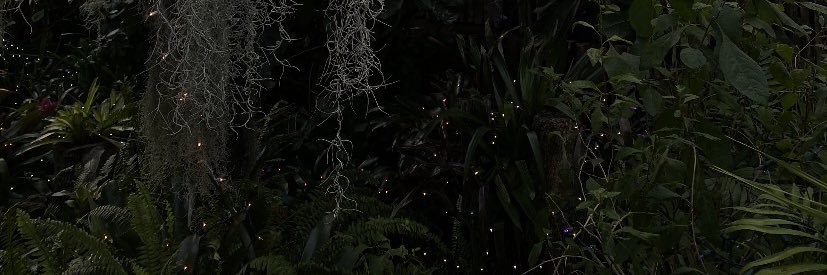 ivacchetto's profile banner image