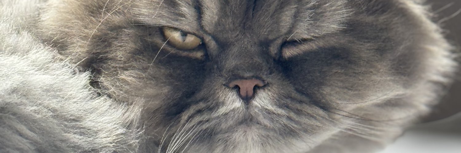 sydisprettycool's profile banner image