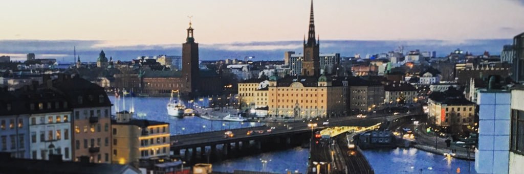 Robin Calmegård banner