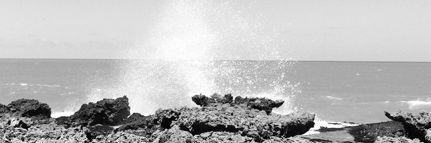 karusimionato's profile banner image