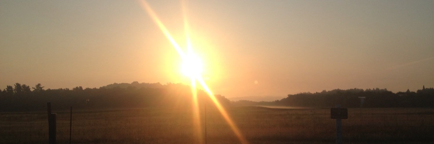 graystourney's profile banner image