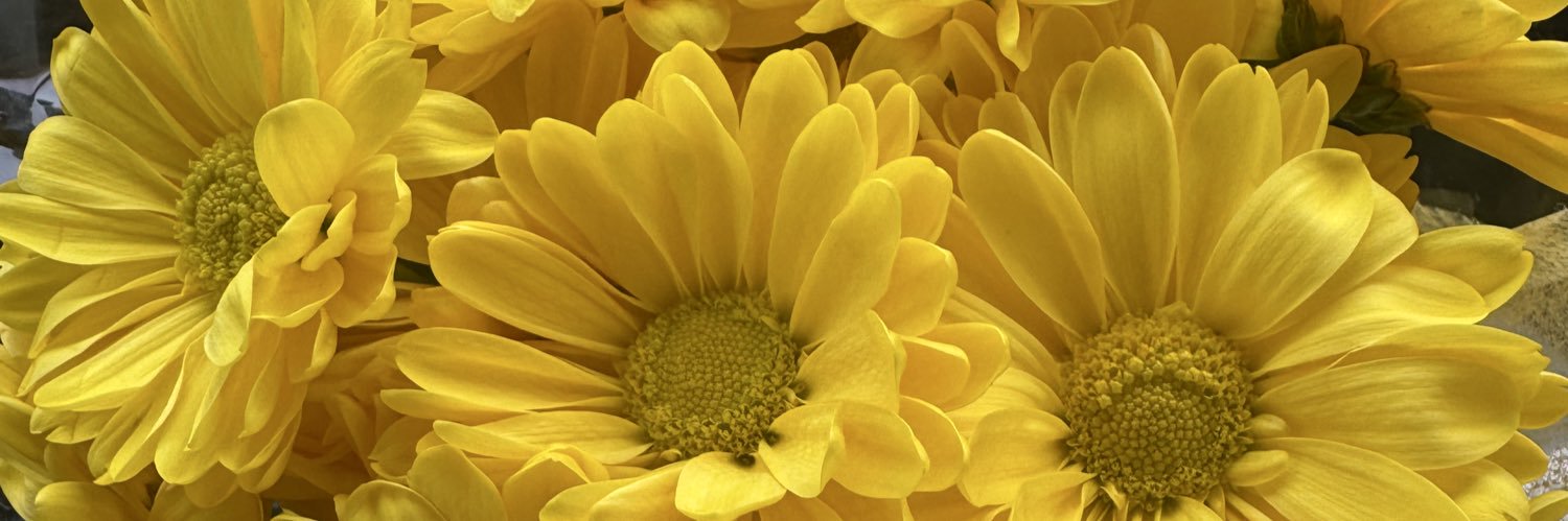 StayGlamorous's profile banner image