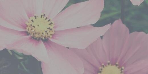 Have_Faith_Man's profile banner image