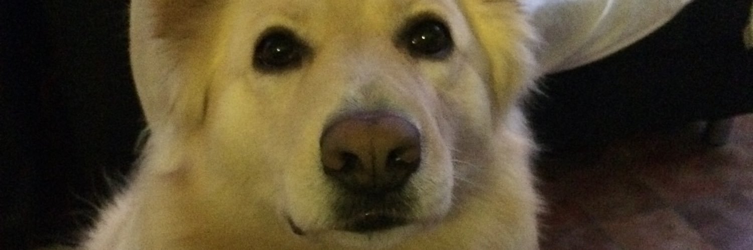 sarmes1969's profile banner image
