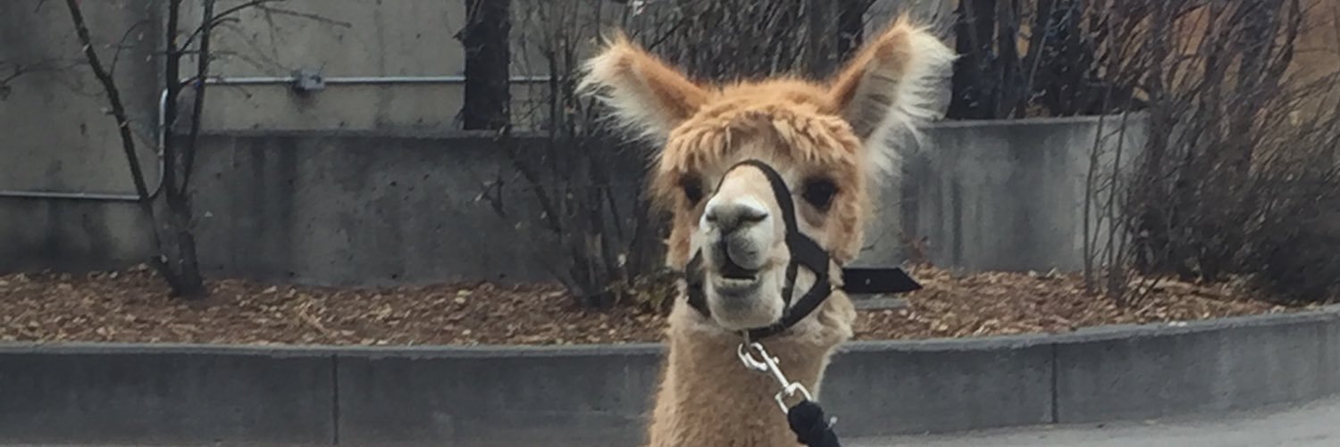 CompsonLee's profile banner image