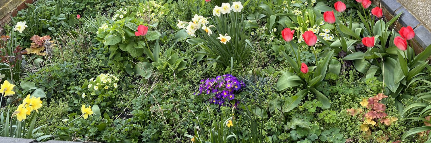 Michael Rickman banner