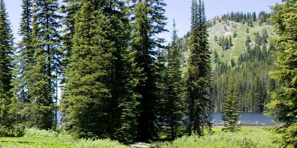 BackpackOutpost's profile banner image