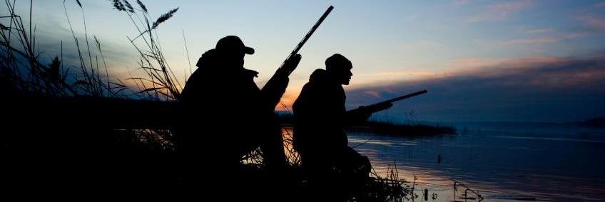 BeaksBucksBeard's profile banner image
