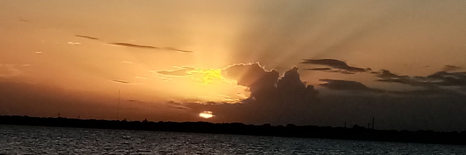 JoeRzFlrs's profile banner image