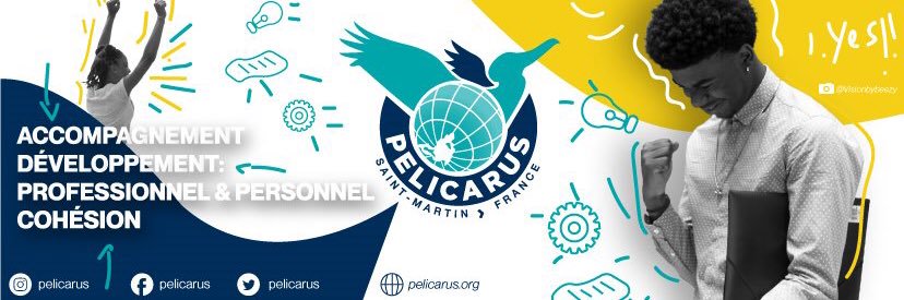 Pelicarus's profile banner image