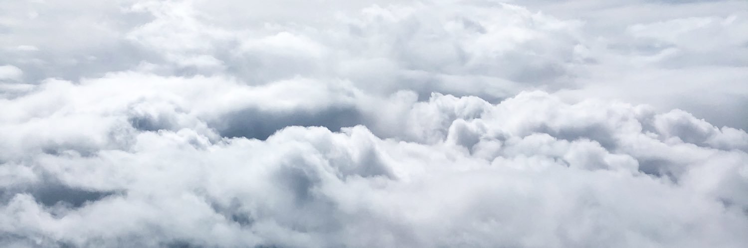 stopwaight's profile banner image