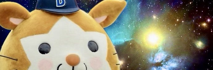 TOY12243's profile banner image